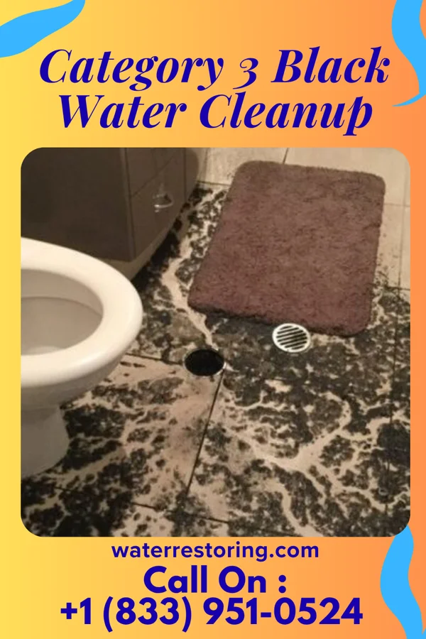 Category 3 Black Water Cleanup in East Niles, CA